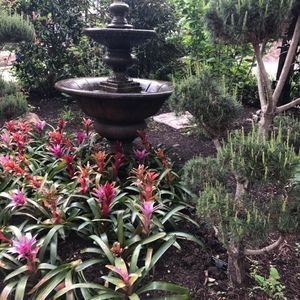 Meet your Posher, Abbey